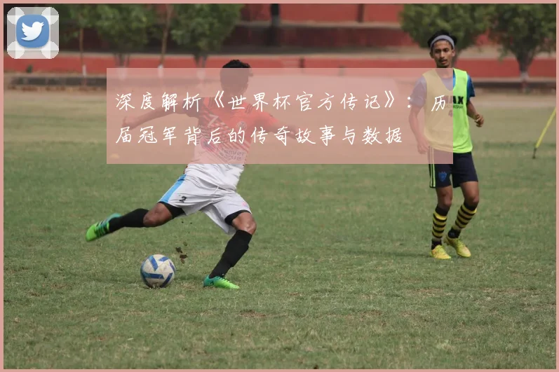 深度解析《世界杯官方传记》：历届冠军背后的传奇故事与数据