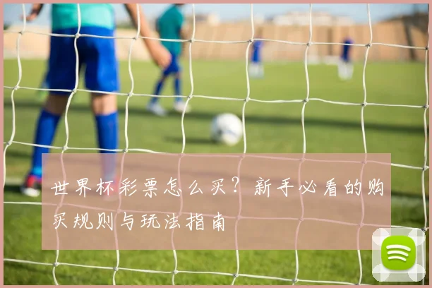 世界杯彩票怎么买？新手必看的购买规则与玩法指南