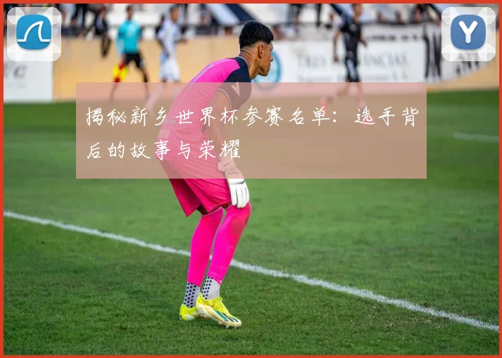 揭秘新乡世界杯参赛名单：选手背后的故事与荣耀