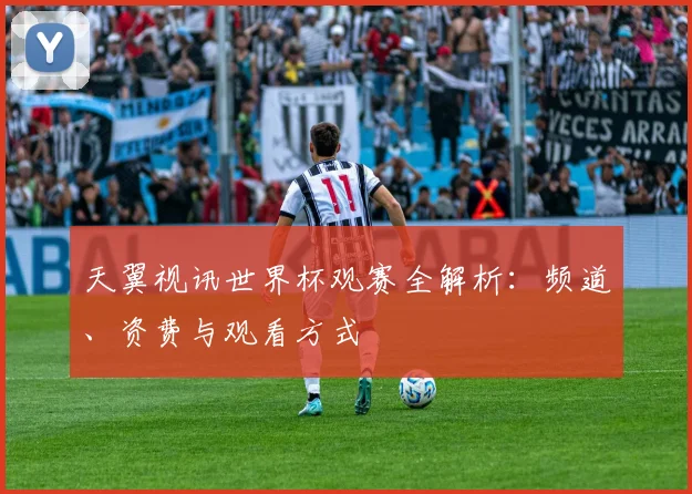 天翼视讯世界杯观赛全解析：频道、资费与观看方式