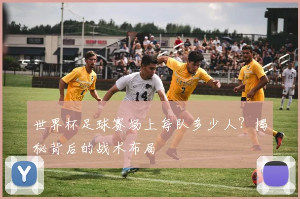 世界杯足球赛场上每队多少人？揭秘背后的战术布局