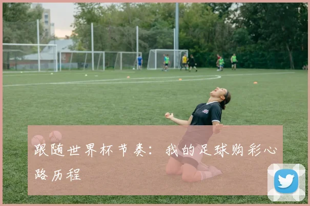 跟随世界杯节奏：我的足球购彩心路历程
